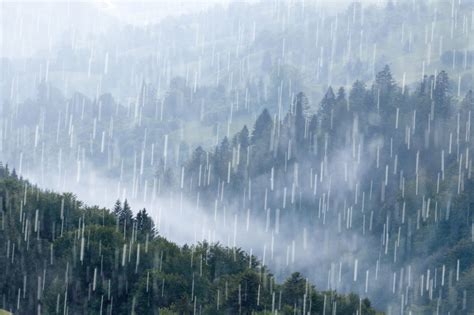 下大雨圖|超过 70000 张关于“大雨”和“雨”的免费图片